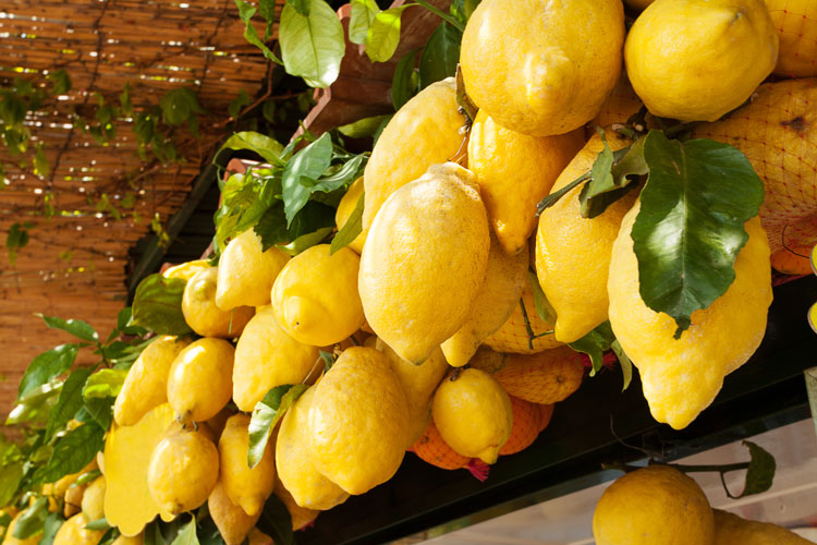 Limones italianos de Sorrento